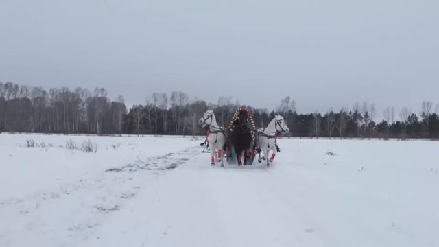 Алексей Лопатин & Полтишок - Ой мороз, мороз смотреть онлайн