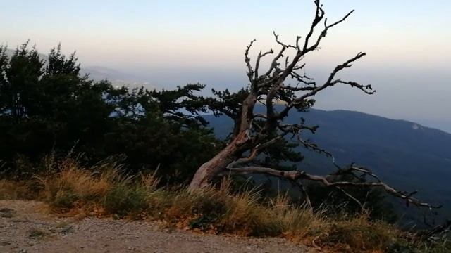 Волынка на горе Ай-Петри смотреть онлайн