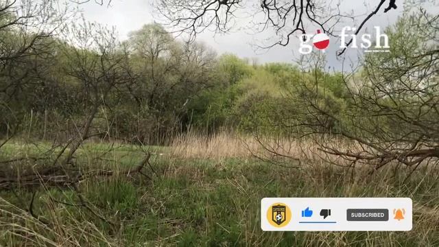 Рыбалка / Места рыбалки / Места отдыха / Река Комаровка / Уссурийск / Природа России смотреть онлайн