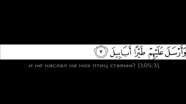 Коран 105 (Арабский+Русский) смотреть онлайн