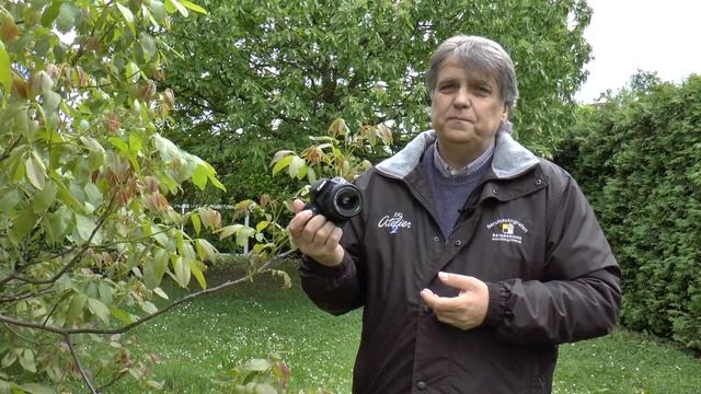 Canon EOS 1200D deutsch смотреть онлайн