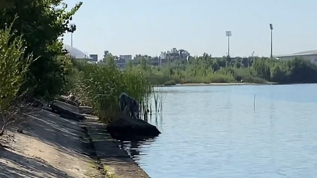 Тишь да гладь городские прогулки смотреть онлайн