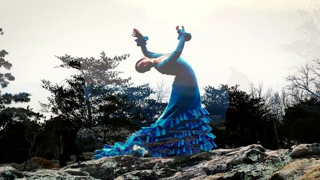 flamencoatsandrock смотреть онлайн