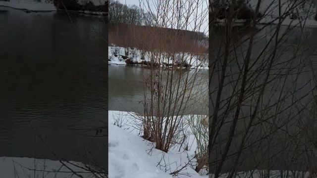 Встреча старого и нового русла реки Тускарь...#зима