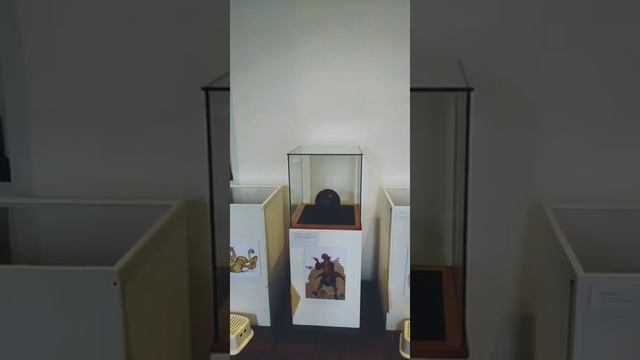 Замок в Крефельд.Германия(3) смотреть онлайн