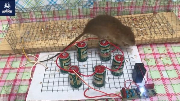 Top Electric Rat Traps ? Best Idea Homemade Electric Mouse Trap 2020 ? /Top Mice Trap