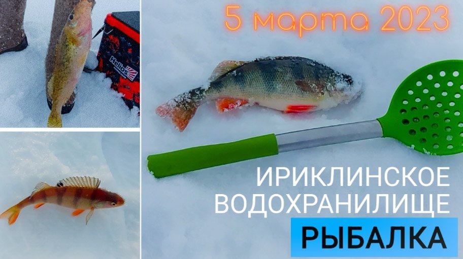 Зимняя рыбалка 2023 Оренбургская область смотреть онлайн