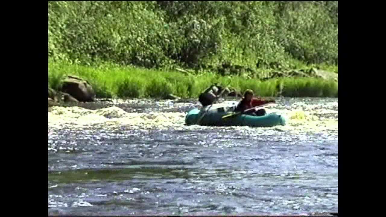 Кова 2004. (Осторожно комары) смотреть онлайн