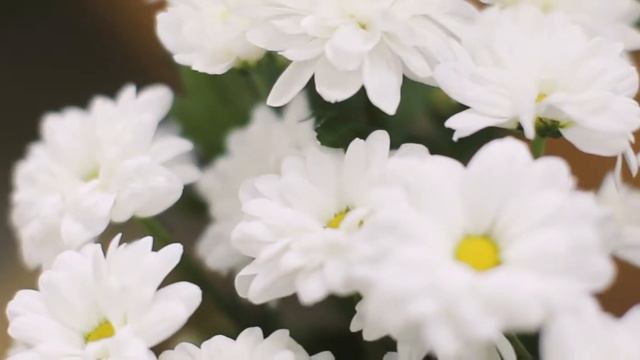 Салон цветов Азалия Наш салон смотреть онлайн