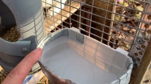 Зимние поилки для кроликов ?