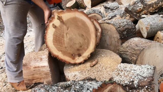 Stihl MS462C & TsuMura 40cm bar.... смотреть онлайн