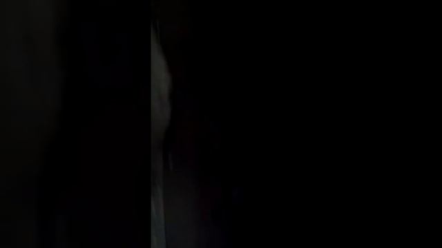 Кот донской сфинкс смотреть онлайн