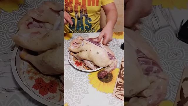 Утка Стар-53 : неправильное кормление и проблемы со здоровьем.