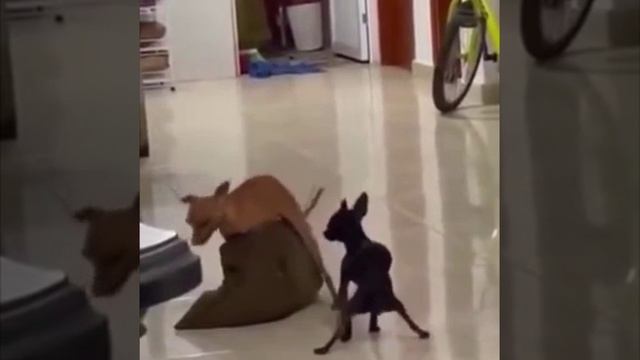 ДИСКОТЕКА смотреть онлайн