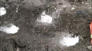 ЧТО ДОБАВИТЬ В ЛУНКИ ПРИ ПОСАДКЕ  КАПУСТЫ