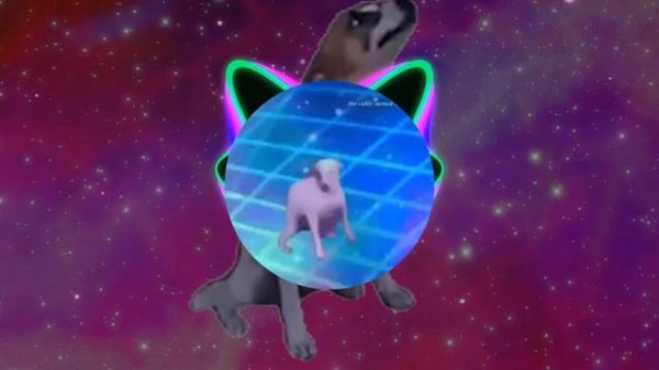 DANCE TILL YOU'RE DEAD (PHONK EDITION)