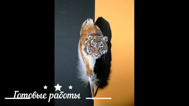 Video Mon Plesir смотреть онлайн