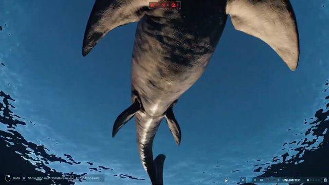 Jurassic World Evolution 2 Shark Surfing In Lagoon #live #jwe2 смотреть онлайн