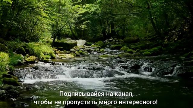 Полезная притча для работодателей! Мудрость при подборе персонала никому не будет лишней! 👍 смотреть онлайн