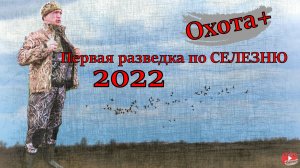 Первая разведка по селезню 2022 Первая охота с подсадной 2022 Вайдерсы новинка сезона. 4К #селезень