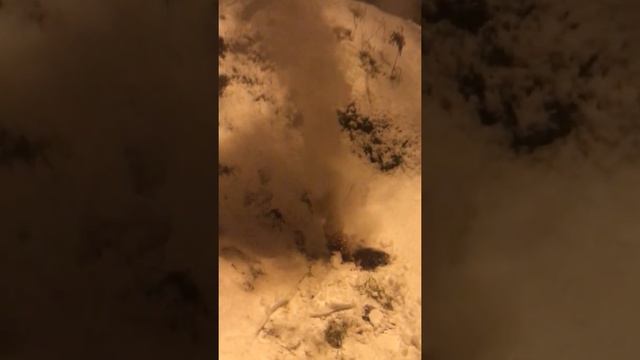 Опилки+селитра смотреть онлайн