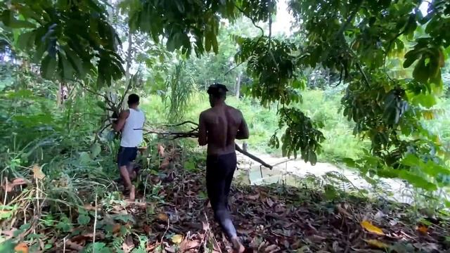 BISA MAKAN TANPA UANG - PAPUA MOLO
