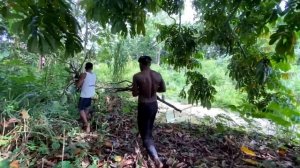 BISA MAKAN TANPA UANG - PAPUA MOLO