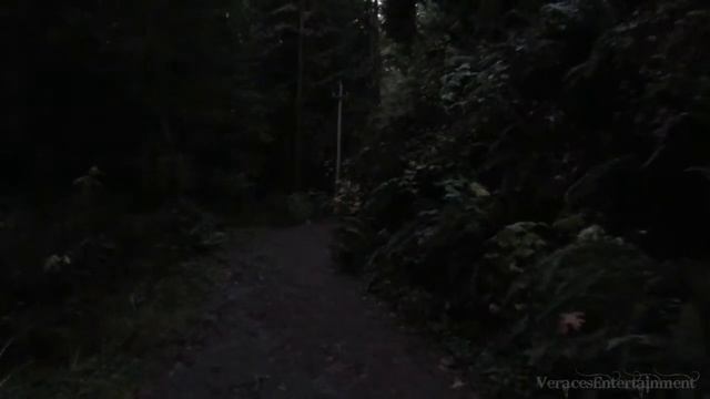 Canon Powershot sx530hs Video and Photography Test at Humboldt State University смотреть онлайн