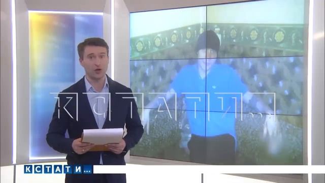 Вандал, сжигавший почтовые ящики, оказался осуждённым грабителем, сбежавшим из-под условного срока смотреть онлайн
