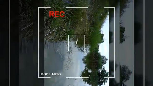 Наконец-то рыбалка смотреть онлайн