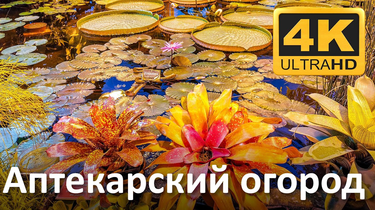 Аптекарский огород