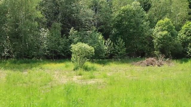 Участок в КП Венский лес смотреть онлайн