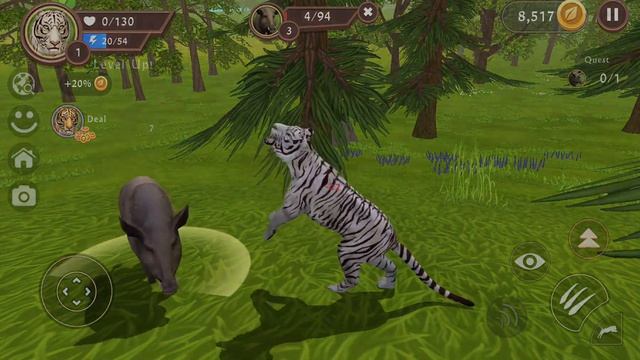 Tigers living in the jungle | how is a tiger смотреть онлайн