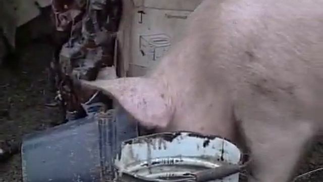 145 лет исполнилось Службе судебных приставов России смотреть онлайн