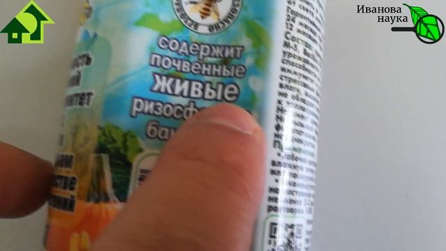 Продлить урожай и сохранить! Чтобы тыквы не погнили, а розы перезимовали - поступите ТАК! смотреть онлайн