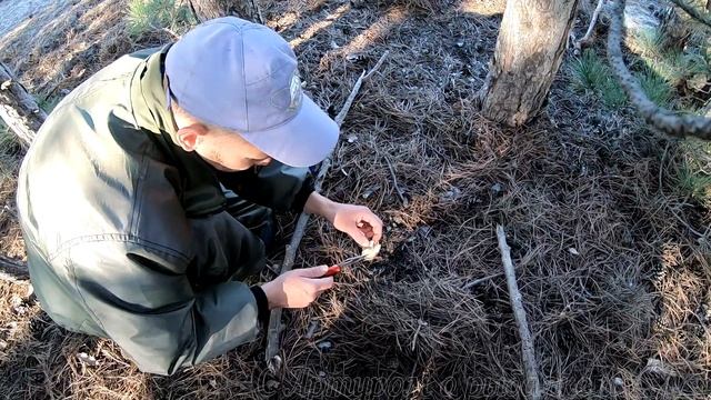 Рыбалка - Грибалка. Запорожье. Украина. смотреть онлайн