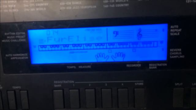 Casio WK-220 Keyboard (MPU 2222)
