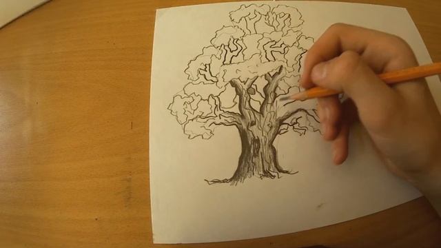 Как Нарисовать Дерево | How To Draw A Tree | Dima Potapov смотреть онлайн