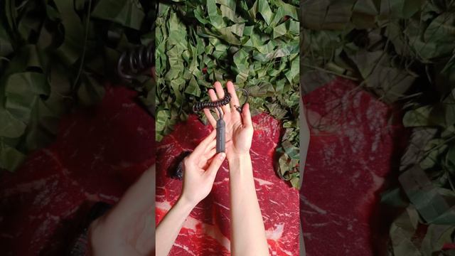 Фонарь подствольный Patriot BH-FLL02 (ЛЦУ выносная кнопка)