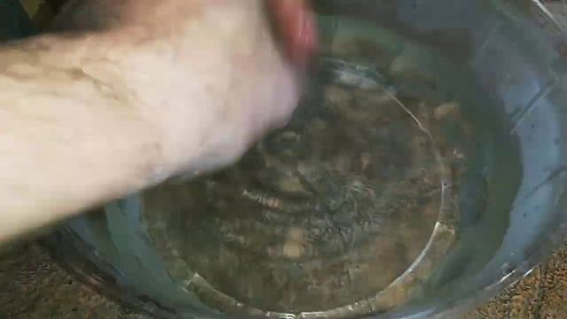 МОРЕ ИКРЫ, СОМИКИ КОРИКИ ЗОЛОТИСТЫЕ ДАЮТ ЖАРУ )