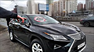 СтопХам-Вице-президент