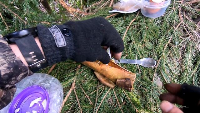 КАК ПРИГОТОВИТЬ ЯИЧНИЦУ НА КОСТРЕ В КОРЕ НА КАМНЯХ Лесная кухня Яичница на костре Бушкрафт смотреть онлайн