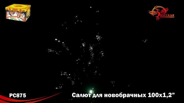 Фейерверк PC 875 "Салют для новобрачных" 100 залпов 1,2 калибр смотреть онлайн