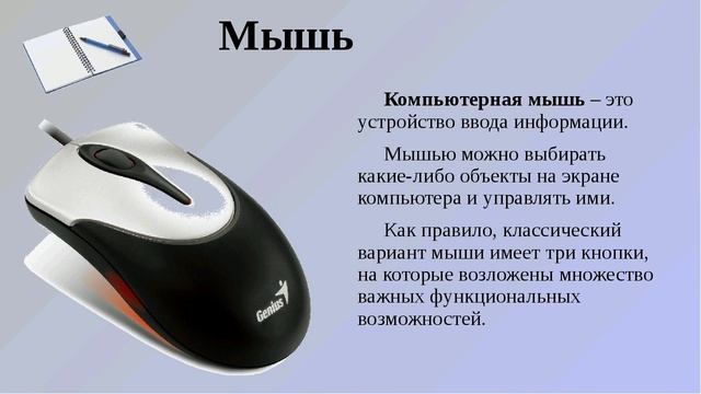 Компьютерная грамотность. смотреть онлайн