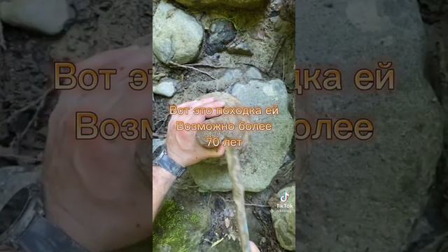 Удевительная раскопка без спойлера но выражаю огромную благодарность тем кому 70-100 лет смотреть онлайн
