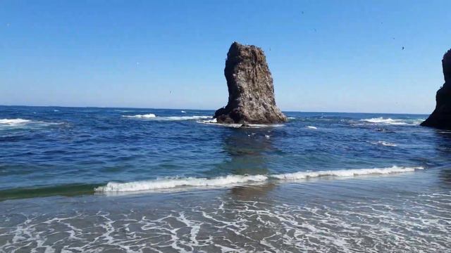 20220817 1215031 смотреть онлайн