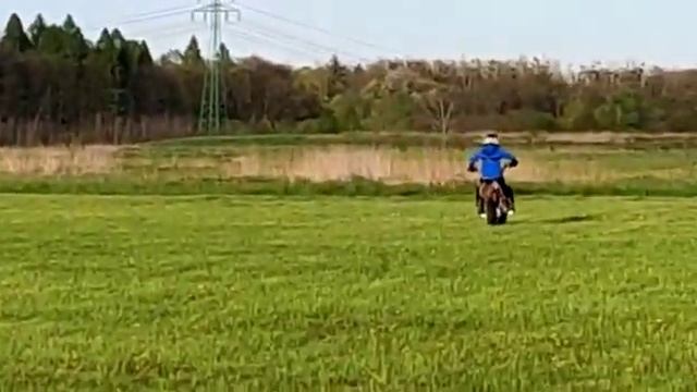 Popílek Havířov Kayo TT190R #viral смотреть онлайн