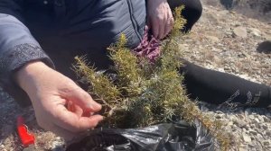 Дагестан/ Жизнь в селе/ Моменты из жизни горянки ?