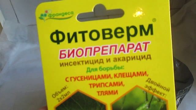 Обзор покупок для моих цветов смотреть онлайн