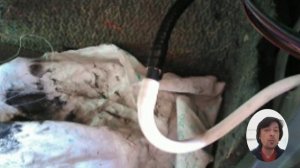 Вода под ковриком. Причины проблемы и ее устранение